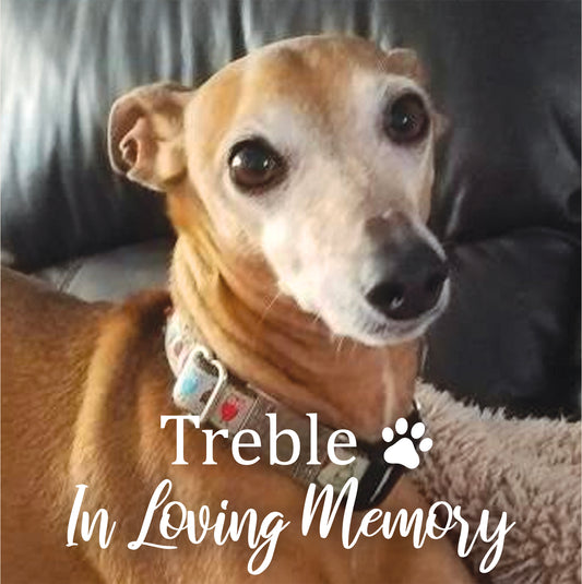 Pet Memory Wooden Box with Pet Portrait Print - Dog Loss Sympathy Gift